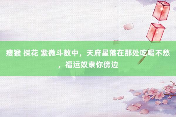 瘦猴 探花 紫微斗数中，天府星落在那处吃喝不愁，福运奴隶你傍边