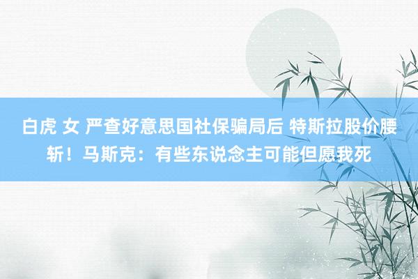 白虎 女 严查好意思国社保骗局后 特斯拉股价腰斩！马斯克：有些东说念主可能但愿我死