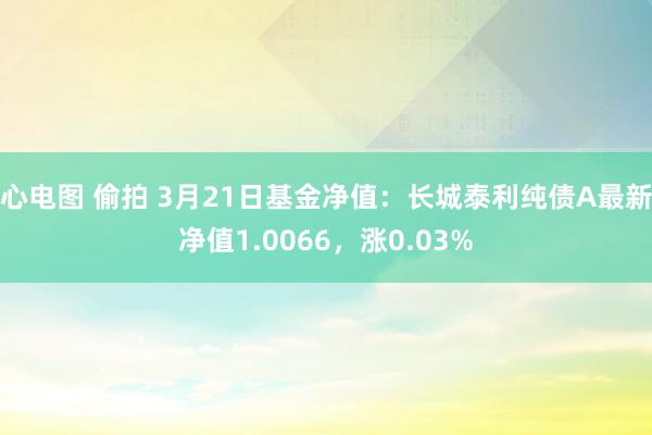 心电图 偷拍 3月21日基金净值：长城泰利纯债A最新净值1.0066，涨0.03%