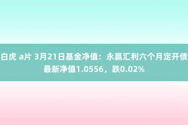 白虎 a片 3月21日基金净值：永赢汇利六个月定开债最新净值1.0556，跌0.02%