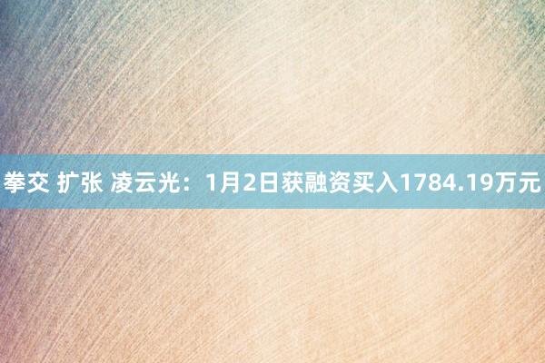 拳交 扩张 凌云光：1月2日获融资买入1784.19万元