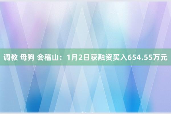 调教 母狗 会稽山：1月2日获融资买入654.55万元