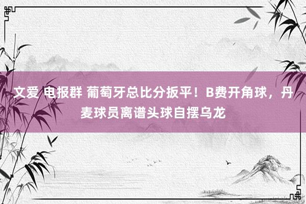 文爱 电报群 葡萄牙总比分扳平！B费开角球，丹麦球员离谱头球自摆乌龙