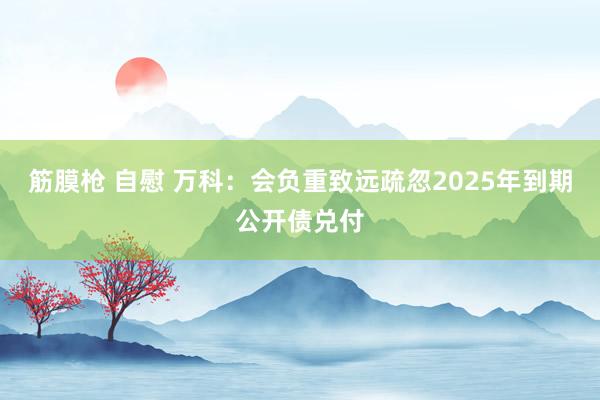 筋膜枪 自慰 万科：会负重致远疏忽2025年到期公开债兑付
