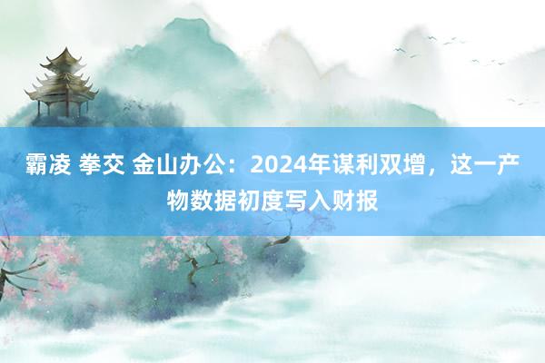 霸凌 拳交 金山办公：2024年谋利双增，这一产物数据初度写入财报