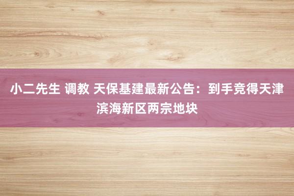 小二先生 调教 天保基建最新公告：到手竞得天津滨海新区两宗地块
