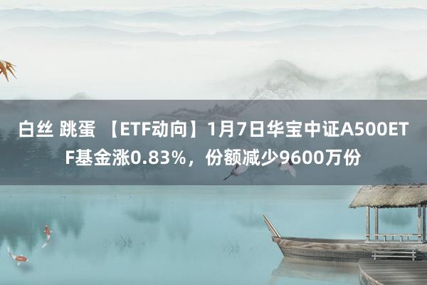 白丝 跳蛋 【ETF动向】1月7日华宝中证A500ETF基金涨0.83%，份额减少9600万份