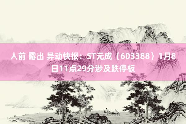 人前 露出 异动快报：ST元成（603388）1月8日11点29分涉及跌停板