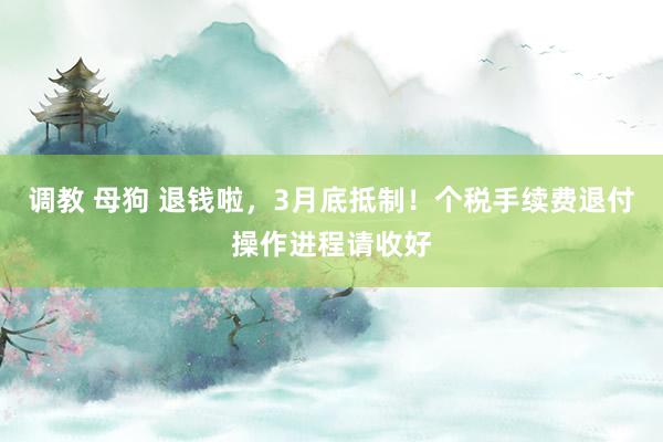 调教 母狗 退钱啦，3月底抵制！个税手续费退付操作进程请收好
