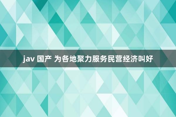 jav 国产 为各地聚力服务民营经济叫好