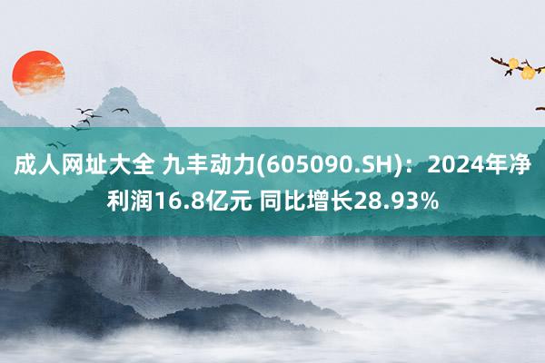 成人网址大全 九丰动力(605090.SH)：2024年净利润16.8亿元 同比增长28.93%