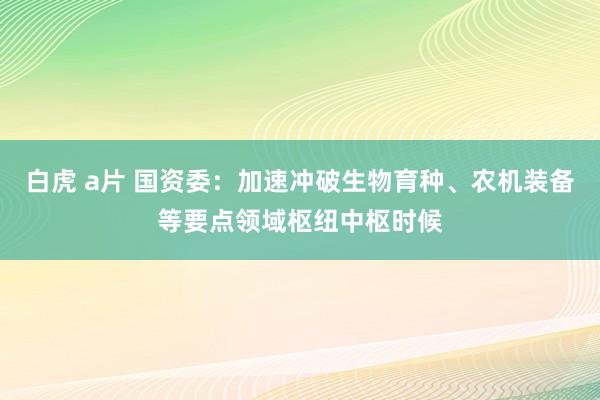 白虎 a片 国资委：加速冲破生物育种、农机装备等要点领域枢纽中枢时候