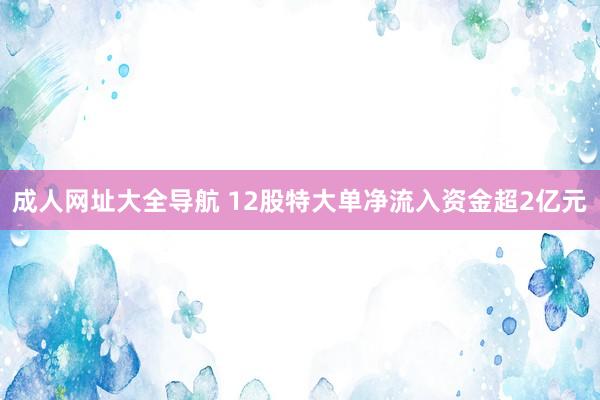 成人网址大全导航 12股特大单净流入资金超2亿元