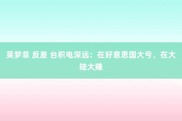 吴梦菲 反差 台积电深远：在好意思国大亏，在大陆大赚