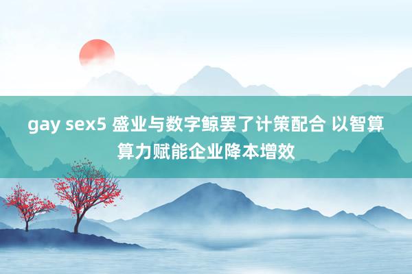 gay sex5 盛业与数字鲸罢了计策配合 以智算算力赋能企业降本增效