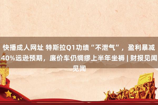 快播成人网址 特斯拉Q1功绩“不泄气”，盈利暴减40%远逊预期，廉价车仍绸缪上半年坐褥 | 财报见闻