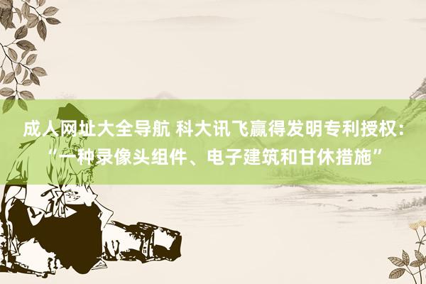 成人网址大全导航 科大讯飞赢得发明专利授权：“一种录像头组件、电子建筑和甘休措施”