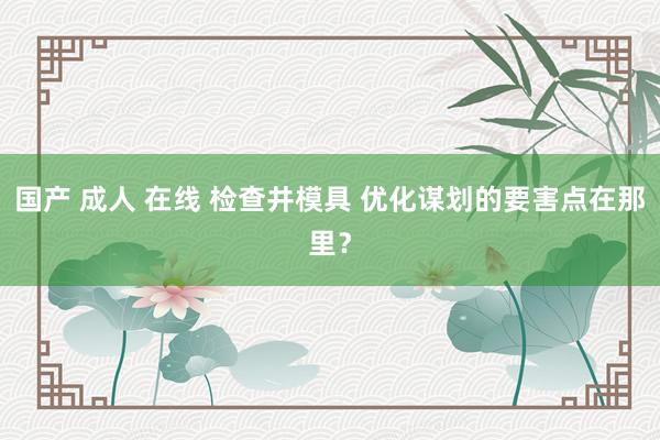 国产 成人 在线 检查井模具 优化谋划的要害点在那里？